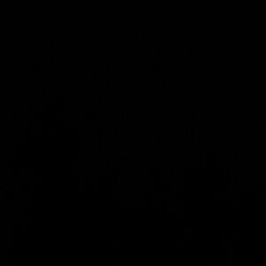 Two Brand new Watches